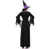 Medieval Adult Cosplay Witch Gothic Queen Costume m40526