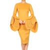 Flare Sleeve Ruffled Slim Party Package Hip Dress M18098