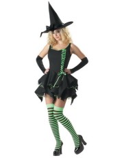 Sexy Witch Costume M4159