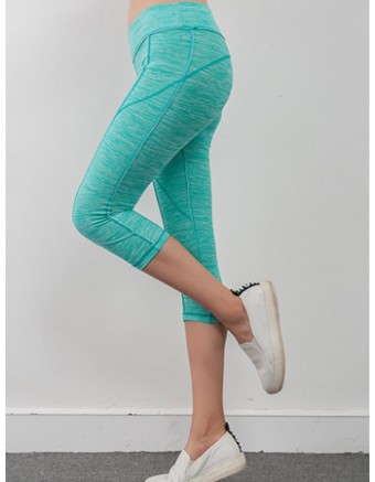 Women Colors Sexy Yoga Sport Legging FG9121