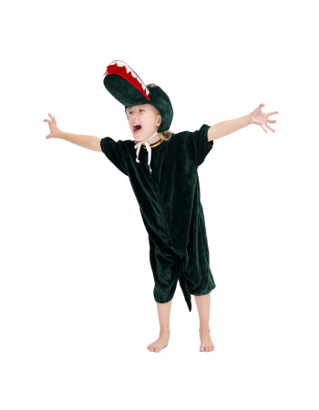 Witch Alligator Little Bee Animal Dance Children Costume Little Chef Show Cosplay SL801