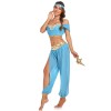 Sexy Aladdin Magic Lamp Princess Jasmine Dress Themed Halloween Costume SM20276