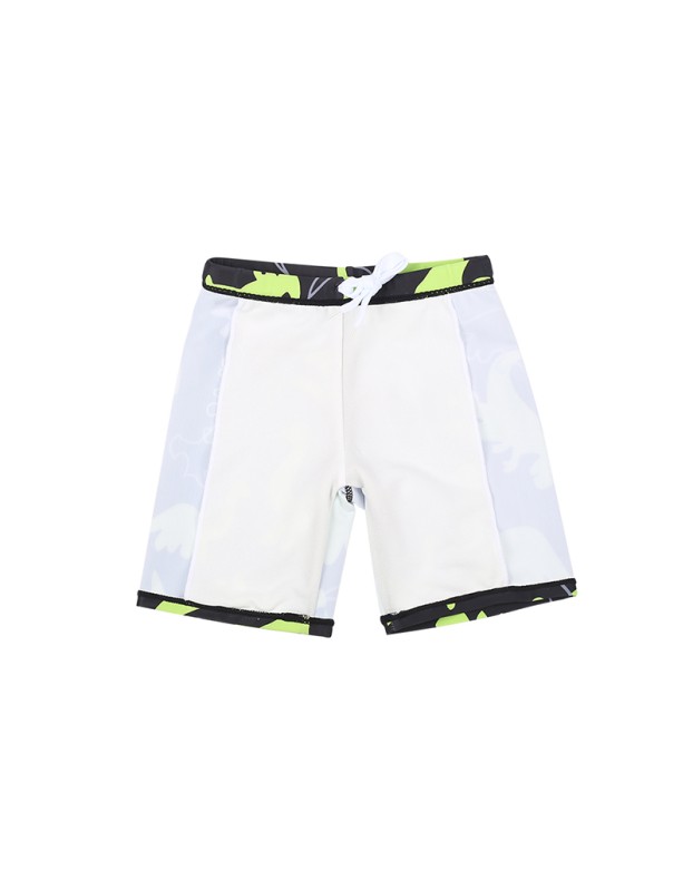 Dinosaur Long Sleeved Children's Swimsuit Three Piece Cartoon Swimsuit Suit For Boys KF203