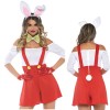 Ladies Cosplay Costume Bunny Girl Suits Costumes m40671