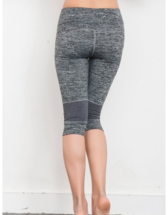 Women Plus Size Yoga Colors Sport Legging FG9123