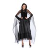 Halloween vampire witch costume