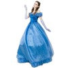 2016 Blue Adult Cinderella Cosplay Costume
