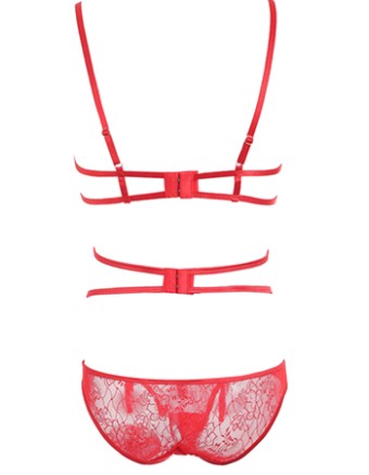 Red Transparent Sexy Lingerie M2143