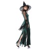 Halloween Deluxe Queen Witch Costume