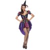 Sexy Adult Witch Costume Purple Swallowtail Dress m40051