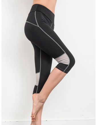 Women Plus Size Yoga Colors Sport Legging FG9123