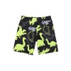Dinosaur Long Sleeved Children's Swimsuit Three Piece Cartoon Swimsuit Suit For Boys KF203
