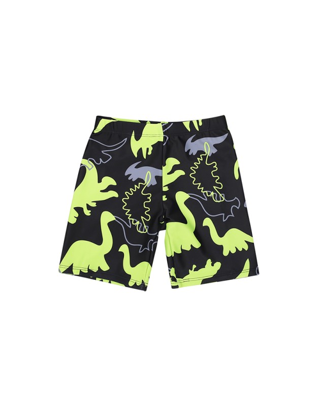 Dinosaur Long Sleeved Children's Swimsuit Three Piece Cartoon Swimsuit Suit For Boys KF203