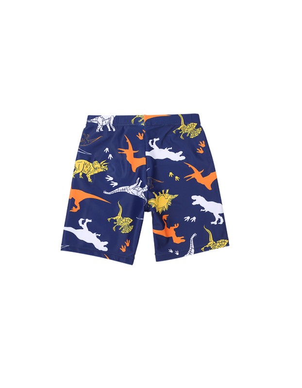 Three-Piece Children's Swimsuit Protection Cartoon Dinosaur Print Short-Sleeved Boy's Swimsuit KF212