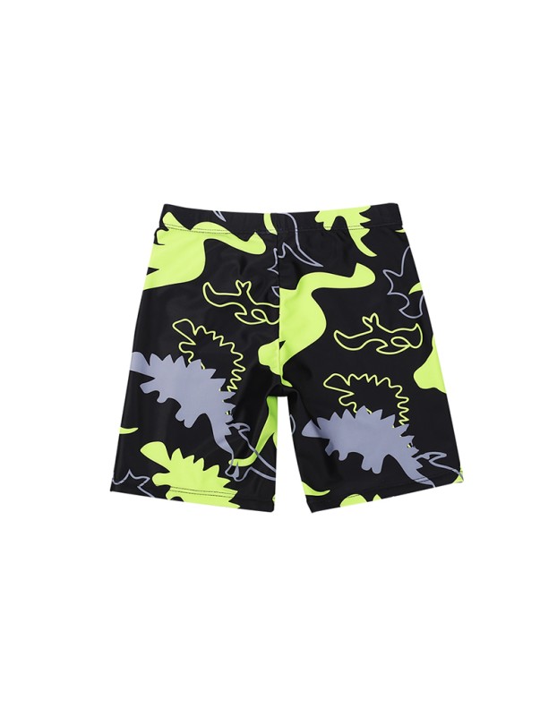 Dinosaur Long Sleeved Children's Swimsuit Three Piece Cartoon Swimsuit Suit For Boys KF203