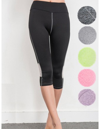 Women Plus Size Yoga Colors Sport Legging FG9123