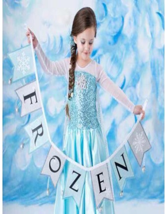 Elsa Frozen Costume M8005