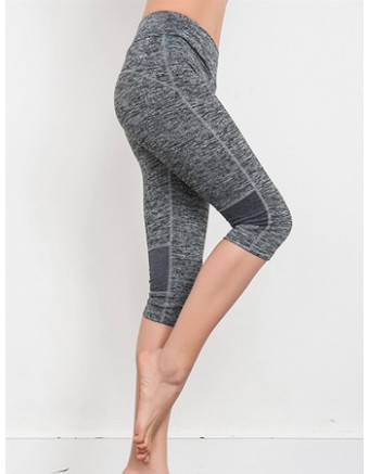 Women Plus Size Yoga Colors Sport Legging FG9123
