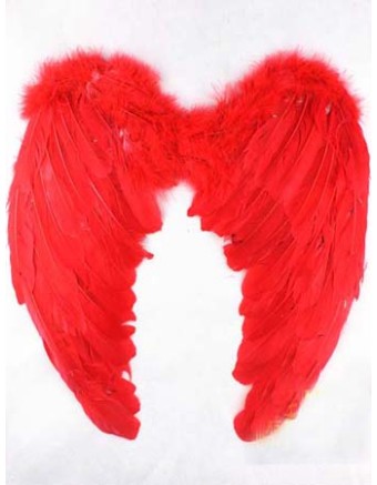 Red wings MW02C