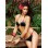 2016 Swimwear cheap  M5386