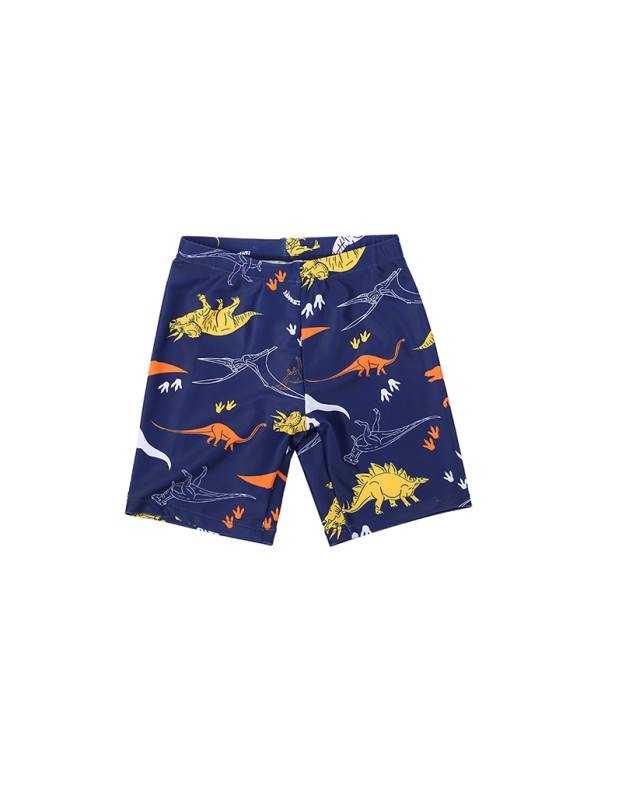 Three-Piece Children's Swimsuit Protection Cartoon Dinosaur Print Short-Sleeved Boy's Swimsuit KF212