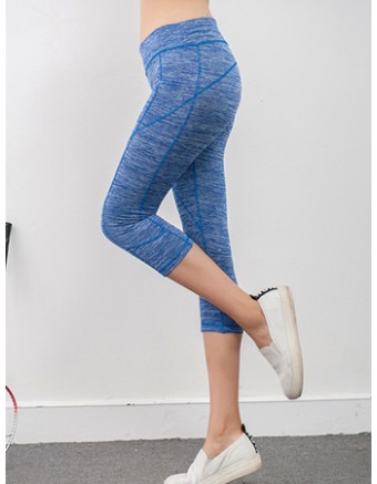 Women Colors Sexy Yoga Sport Legging FG9121