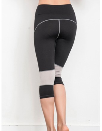 Women Plus Size Yoga Colors Sport Legging FG9123