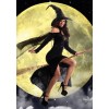 Sexy Witch Costume M4915