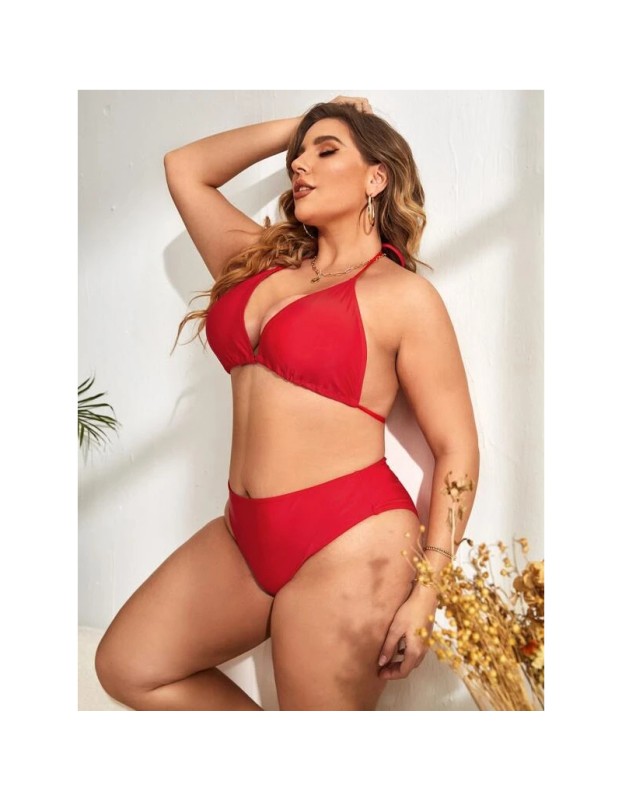 Flounces Swimsuit V  Neck Floral Print Sexy High Waist Womens Bikini 678