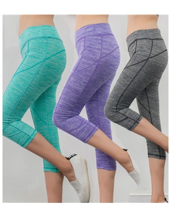 Women Colors Sexy Yoga Sport Legging FG9121