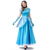 Women New PDress Stage Grimm Fairy Tale Blue Cosplay Princess Dress Costume YM063