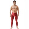 Sexy Men's Shiny Leggings Plus Size Shiny Silky Bodybuilding Nine Minute Leggings XX7132