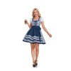 German Oktoberfest Traditional Bavarian Beer Girl Maid Bar Working Dress Cosplay Costume DL2060 DL2061