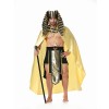 Halloween Adult Cosplay Adult Male Egyptian Pharaoh Costume XY82307