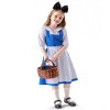 Beauty And The Beast Belle Maid Costume Cosplay Cosplay Alice Dress Halloween Show Costume YM0929 YM0930