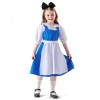 Beauty And The Beast Belle Maid Costume Cosplay Cosplay Alice Dress Halloween Show Costume YM0929 YM0930