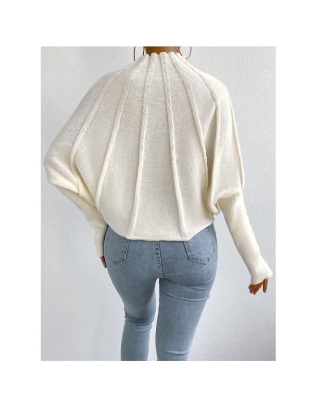 Half High Necked Women's Sweater Set Solid Color Hooded Bat Sleeve Custom Sweater Outside ZY1030