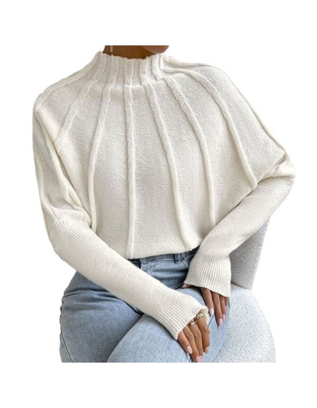 Half High Necked Women's Sweater Set Solid Color Hooded Bat Sleeve Custom Sweater Outside ZY1030