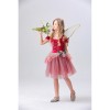 Children's Day Fairy Girl Elf Dance Costume Princess Puff Skirt Cosplay Performance Costume YM5833