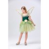 Princess Puffy Dress Flower Fairy Little Girl Elf Dance Cosplay Costume Green Dress YM5835