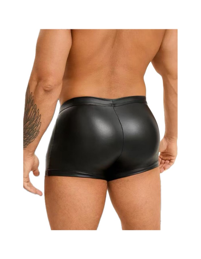Men's  Sexy Briefs, Leather-like Shorts Nightclub DS Performance Underwear Briefs N848