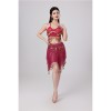 Sequined Halter Top Belly Dance Costume Halter Chest Wrap Tassel Dance Costume Cosplay W21