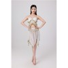 Sequined Halter Top Belly Dance Costume Halter Chest Wrap Tassel Dance Costume Cosplay W21