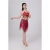 Sequined Halter Top Belly Dance Costume Halter Chest Wrap Tassel Dance Costume Cosplay W21