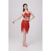 Sequined Halter Top Belly Dance Costume Halter Chest Wrap Tassel Dance Costume Cosplay W21