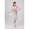 Sequined Halter Top Belly Dance Costume Halter Chest Wrap Tassel Dance Costume Cosplay W21