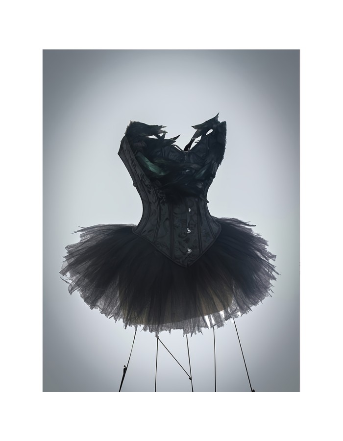 Swan Half Length Corset Puffy Skirt Lace Jacquard Slimming Corset For Performance Suit 2526
